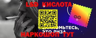 apvp Пугачёв
