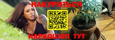 apvp Пугачёв