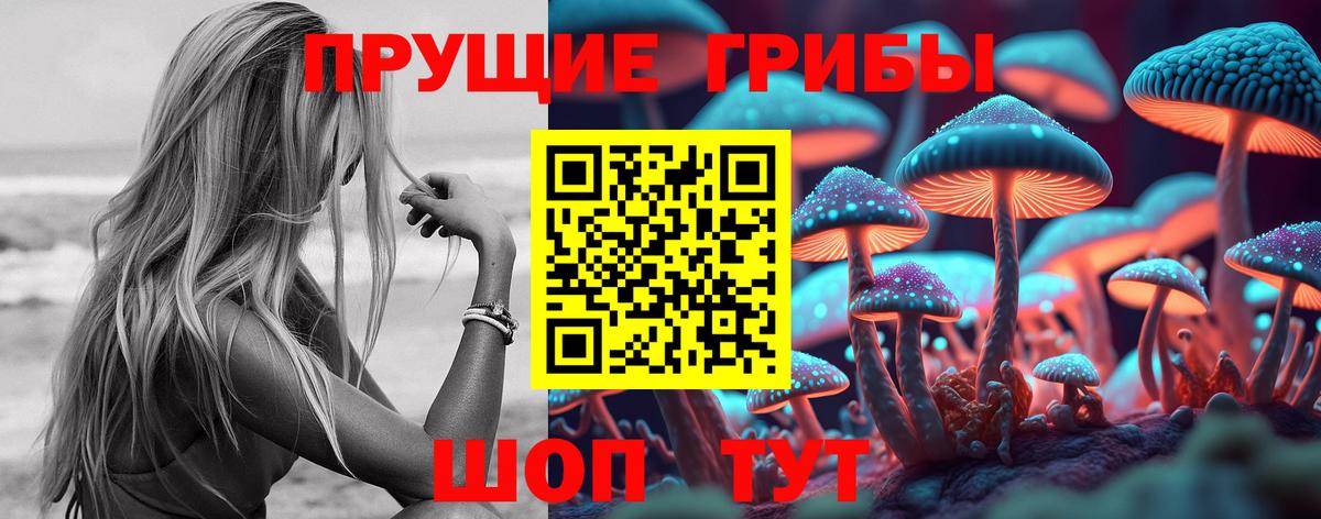 Галлюциногенные грибы GOLDEN TEACHER  Вход с VPN  Саранск 